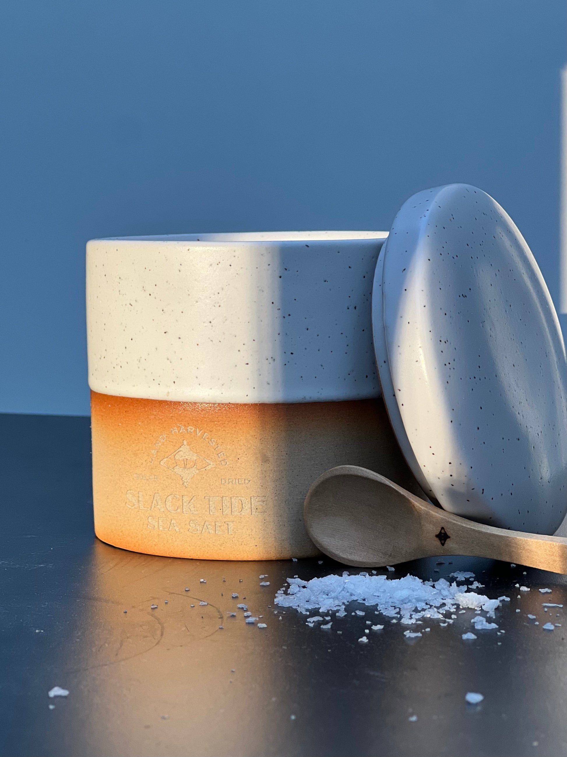 Wooden spoon with sea salt